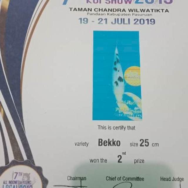 Beko juara 