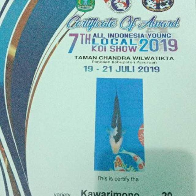Kumonriu juara 3 all indo