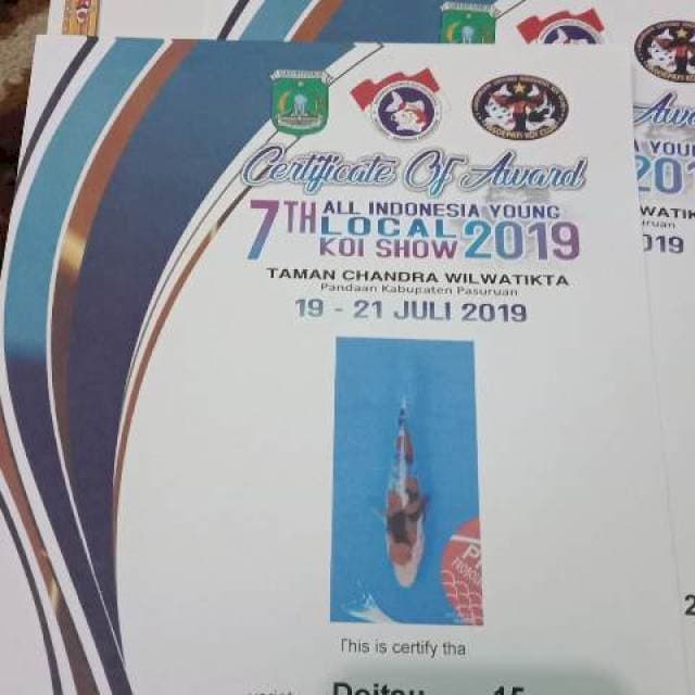 Doitsu juara 2 all indo