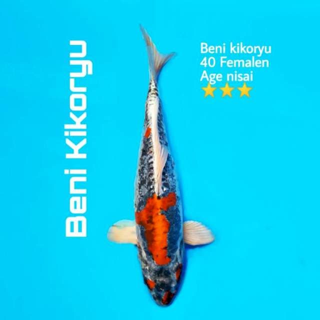 Benikikoryu