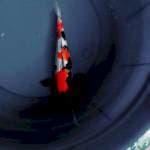 SHOWA 32 CM