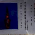 Shiro utsuri impor mutasi dari showa 
