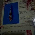 Sanke Sakai 46cm