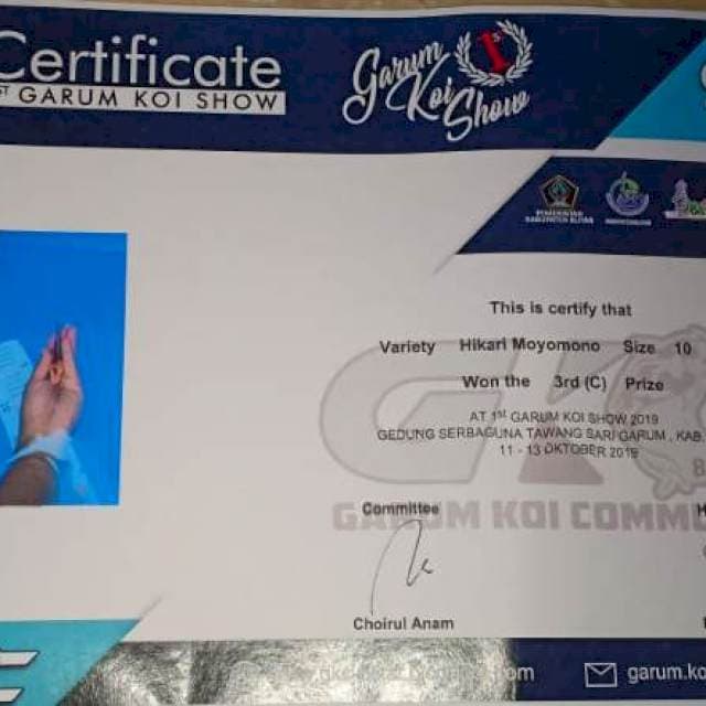 Juara show