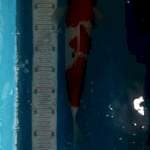 Sanke 40bu