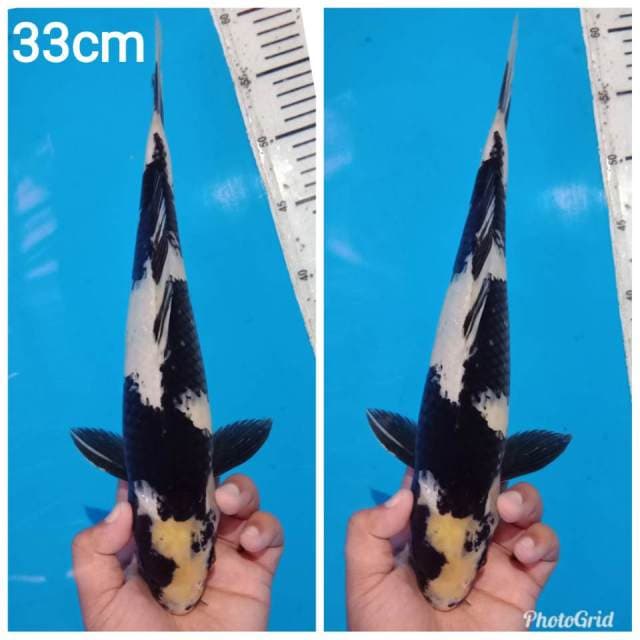 Jet black