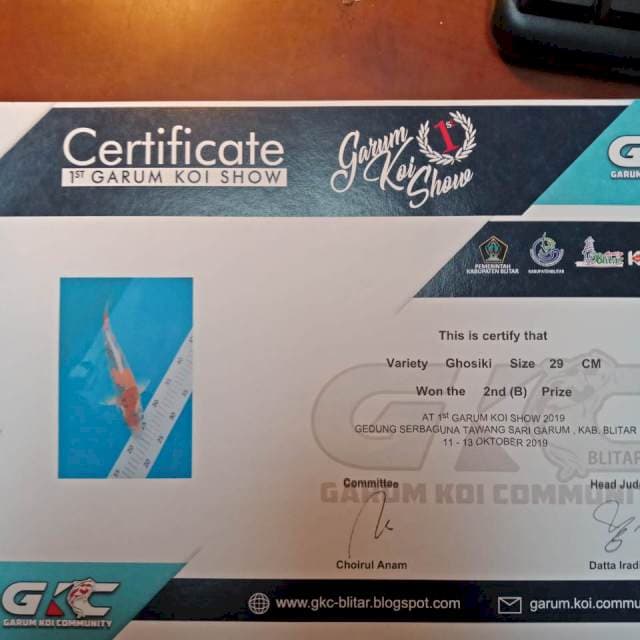 goshiki juara  