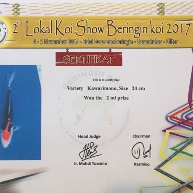 Benikumon Serti Juara