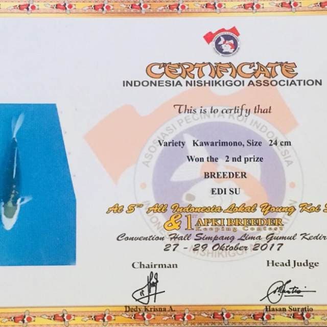 Benikumon Serti Juara