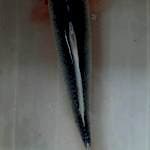 Asagi Jumbo F 1