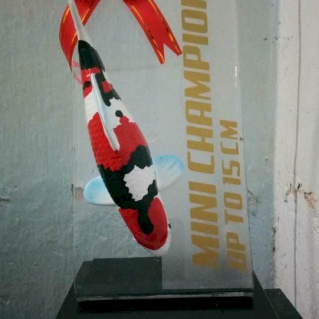 Showa sansoku17cm..serti+piala