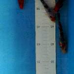 Mix 10-11cm