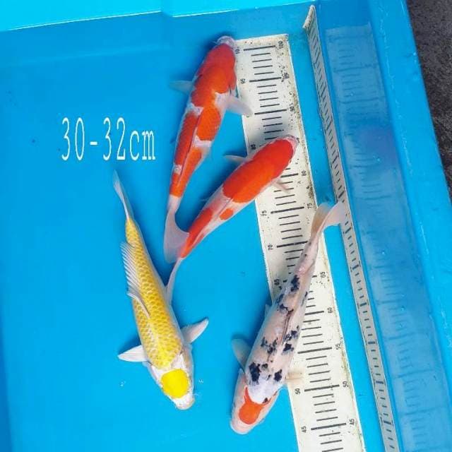 Mix cutting