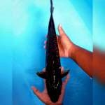 Besar Murah 44cm.  #10 