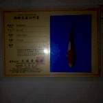Koi import marusai 30 cm bu