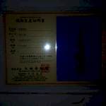 Siro import size 30 cm BU