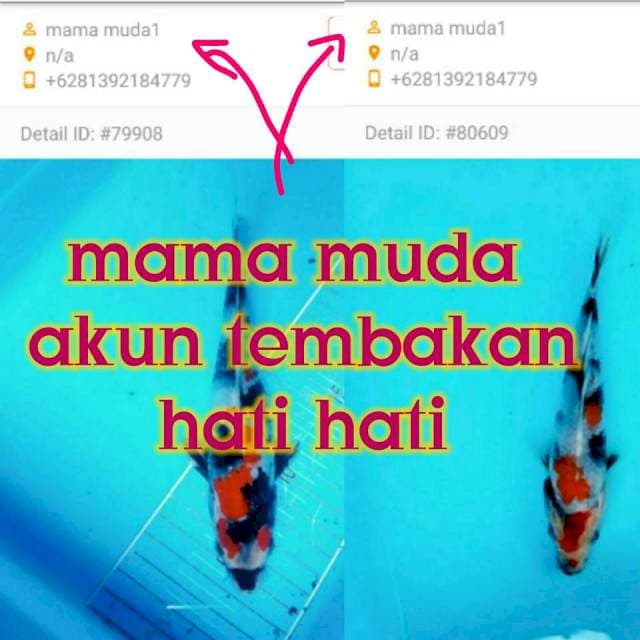 Korban PHP mama muda