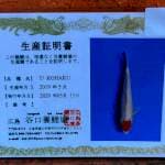 Tancho kohaku import josss