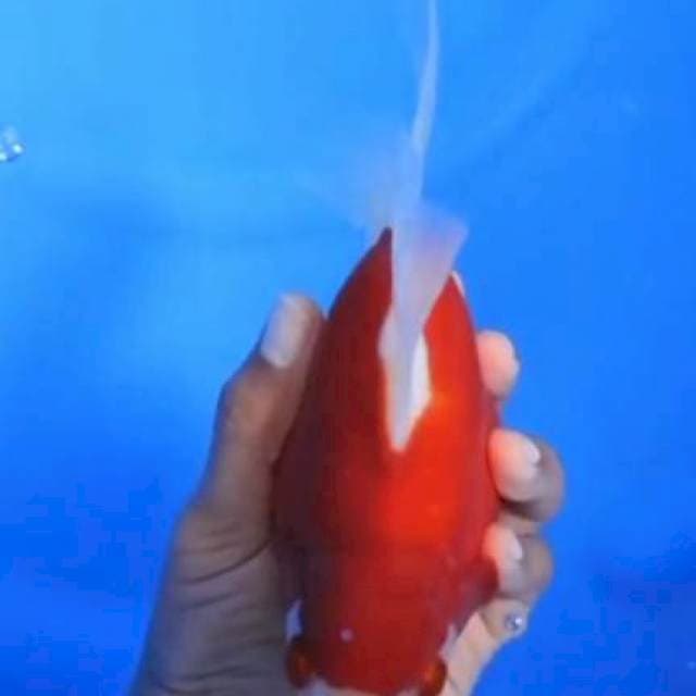 Tamasaba big size 22 cm marusin farm