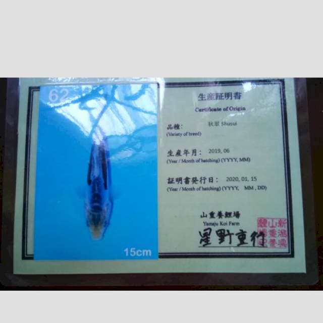 shusui yamaju 30bu merah strong