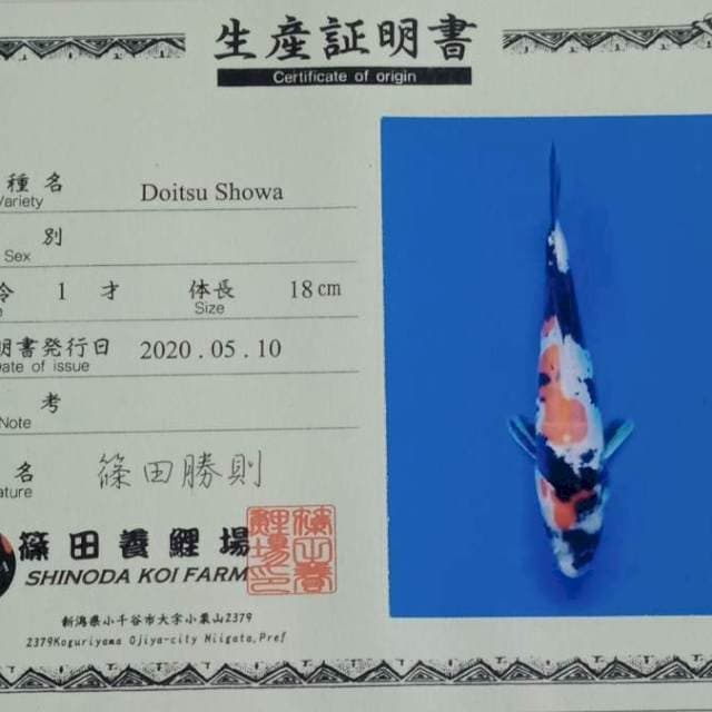 Doitsu showa tosai shinoda farm