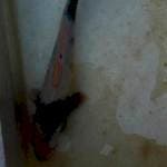 28cm