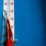 Goshiki, 25 cm, OB 100k