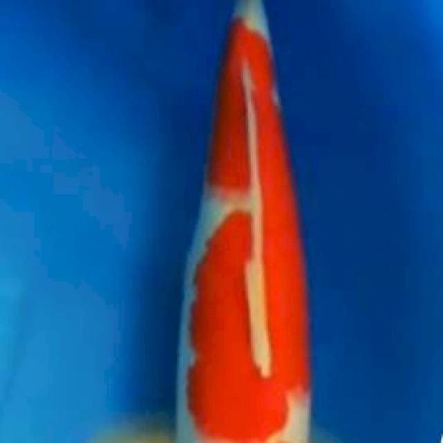 HQ Jumbo Kohaku 48cm Betina