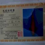 55 cm Male Orenji Ogon 