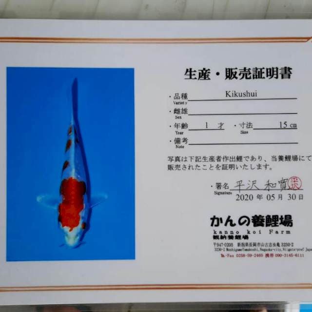 Kikushui serti breeder Jepang