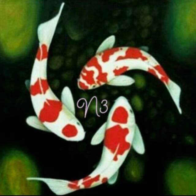 Foto profil N3_Koi