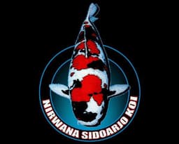 Nirwana Sidoarjo Koi