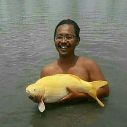 YUSRON (MH KOI)