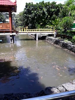 SEMESTA KOI