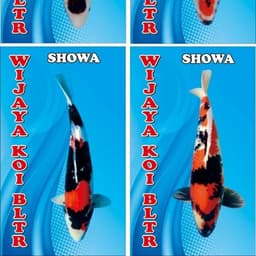 WijayaKoi Bltr