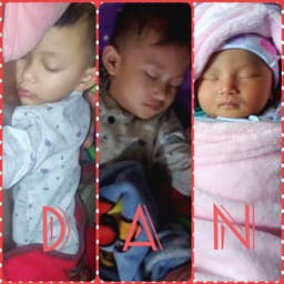 Ary Maesa