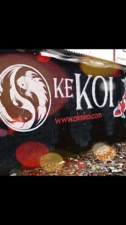 OKE KOI