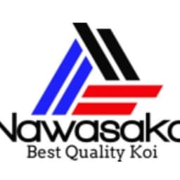 ⭐️Nawasaka 11.11.11⭐