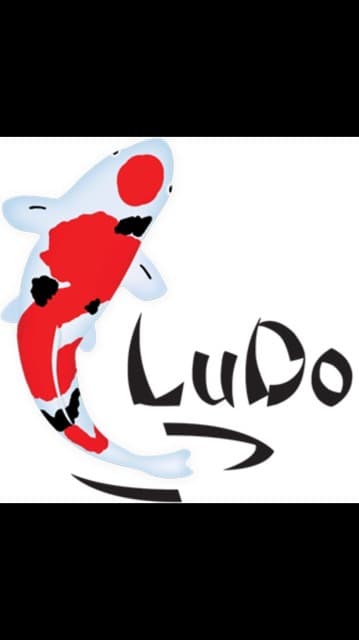 Foto profil LuDo Koi