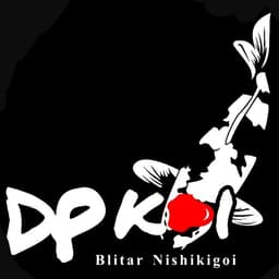 Dp koi