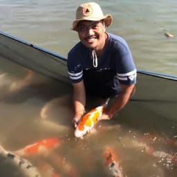 HAGO KOI BLITAR