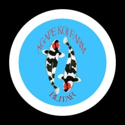 AGAPE KOI FARM