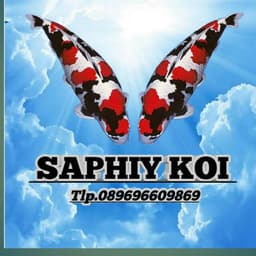 Saphiy koi
