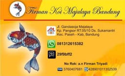 Pirman koi 