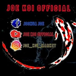 Joshua Joe