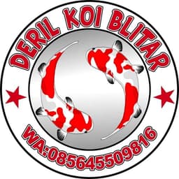 Derilkoi