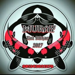 Muray koifarm