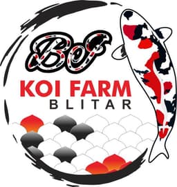 BI KOI FARM