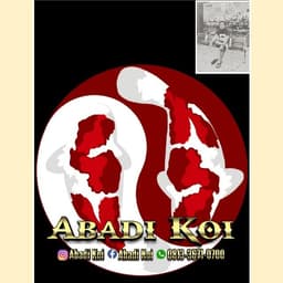 ABADI KOI