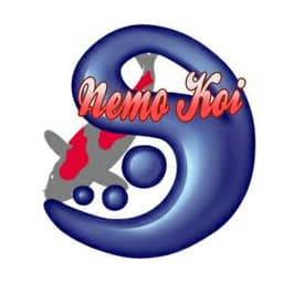 THALITA KOI